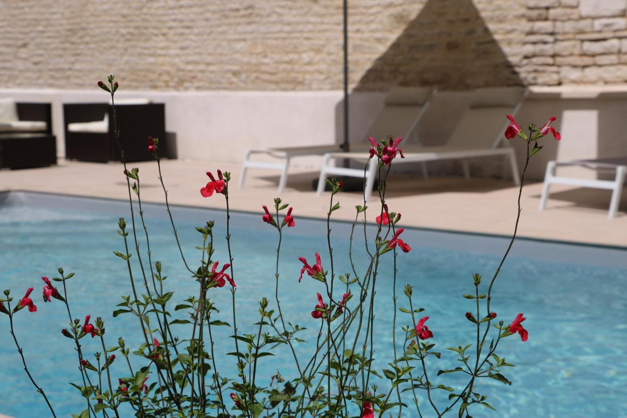 La Villa Lombardi En Champagne, Avec Piscine Privee Et Jacuzzi Les Riceys Екстериор снимка